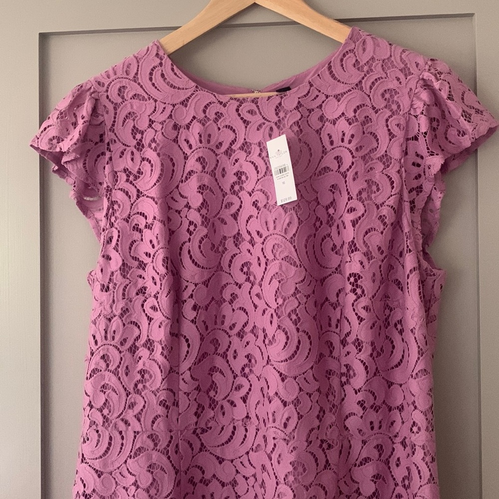 NWT Ann Taylor Dress- fully lined lace overlay look